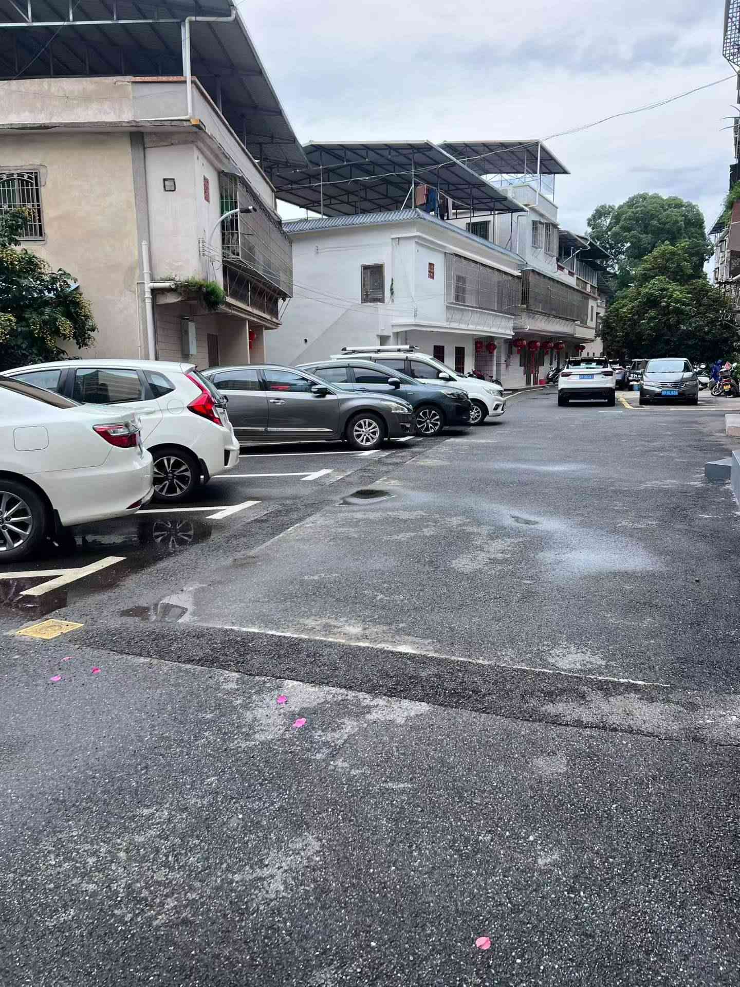 捡漏单体楼=套房价出售江南西桥丽江花园旁边单体楼 作新小学学区房 共三层半 占地51平方 建筑面积154平方 共5房2厅3卫 瓷砖外墙 业主长期在外装修保养十分靓 无需装修可拎包入住 两栋两本红本在手